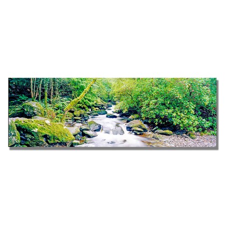 Trademark Fine Art Preston 'Ireland Green' Canvas Art, 16x47 EM265-C1647GG